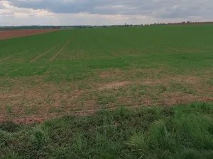 Prodej pole, Bukovno, 2775 m2