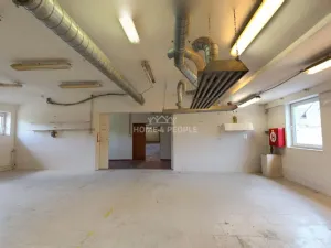 Pronájem výrobních prostor, Židlochovice, Žerotínovo nábřeží, 985 m2