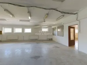 Pronájem výrobních prostor, Židlochovice, Žerotínovo nábřeží, 985 m2