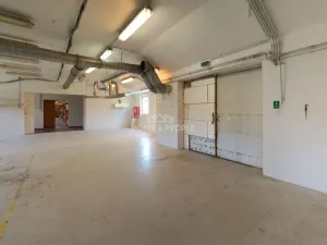 Pronájem výrobních prostor, Židlochovice, Žerotínovo nábřeží, 985 m2