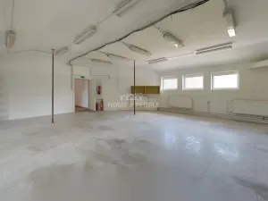 Pronájem výrobních prostor, Židlochovice, Žerotínovo nábřeží, 985 m2