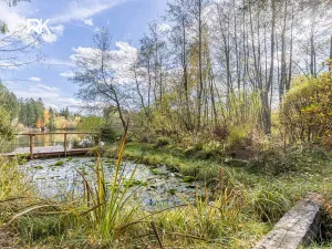 Prodej chaty, Bohdaneč, 65 m2