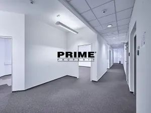 Pronájem kanceláře, Praha - Nové Město, Soukenická, 262 m2