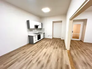 Pronájem bytu 2+1, Praha - Žižkov, Zelenky-Hajského, 70 m2