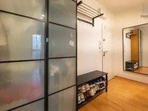 Prodej bytu 1+1, Brno, Foerstrova, 33 m2