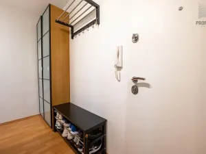 Prodej bytu 1+1, Brno, Foerstrova, 33 m2