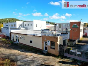 Pronájem výrobních prostor, Vimperk - Vimperk III, Špidrova, 22351 m2