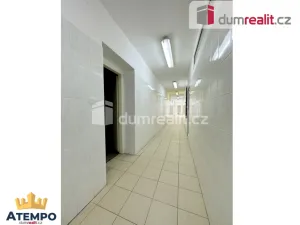 Pronájem výrobních prostor, Vimperk - Vimperk III, Špidrova, 22351 m2