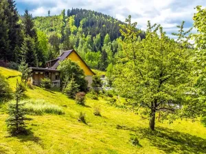 Prodej rodinného domu, Desná, Krkonošská, 380 m2