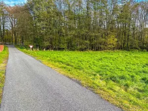 Prodej louky, Krásný Les, 3903 m2