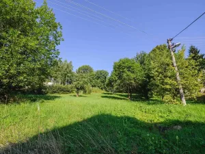 Prodej pozemku pro bydlení, Zlatá Olešnice, 4188 m2