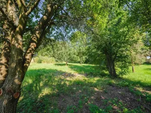 Prodej pozemku pro bydlení, Zlatá Olešnice, 4188 m2