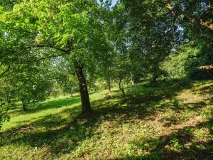 Prodej pozemku pro bydlení, Zlatá Olešnice, 4188 m2