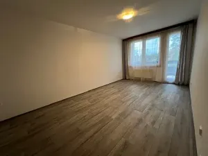 Pronájem bytu 2+1, Nový Vestec, Na Spořilově, 60 m2