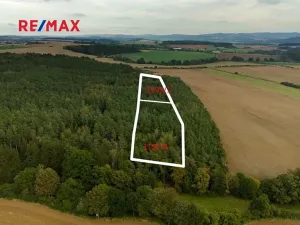 Prodej lesa, Všehrdy, 35057 m2