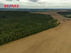 Prodej lesa, Všehrdy, 35057 m2