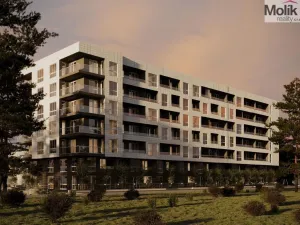 Prodej bytu 3+kk, Golem, 99 m2