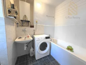 Pronájem bytu 2+1, Bílina - Mostecké Předměstí, Lidická, 60 m2