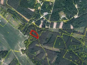 Pronájem pole, Bechlín, 5928 m2