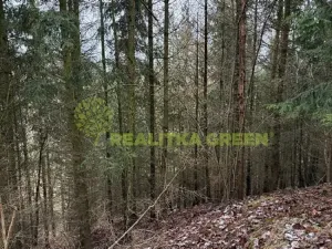 Prodej lesa, Konice, 10385 m2