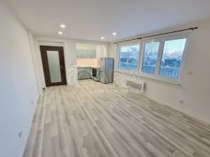 Pronájem bytu 1+kk, Praha - Krč, Lukešova, 29 m2