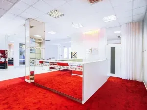 Pronájem kanceláře, Praha - Chodov, Roztylská, 450 m2