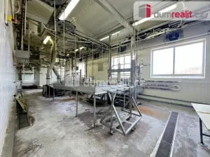 Prodej výrobních prostor, Vimperk - Vimperk III, Špidrova, 22351 m2