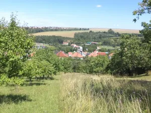 Dražba louky, Podolí, 10906 m2
