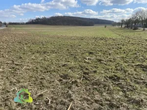 Prodej pozemku pro bydlení, Mořina, 1000 m2