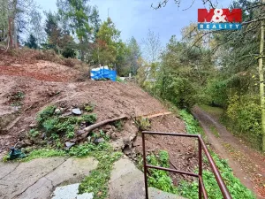 Prodej pozemku pro bydlení, Družec, 598 m2