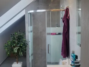 Prodej rodinného domu, Ostrava, Moravská, 190 m2