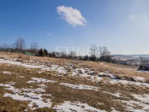 Prodej pozemku pro bydlení, Razová, 1320 m2