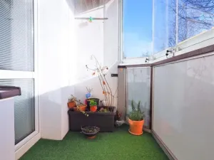 Prodej bytu 3+1, Žďár nad Sázavou, Chelčického, 60 m2