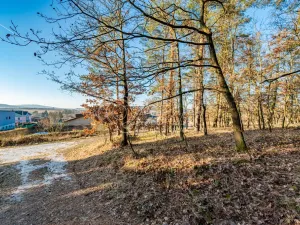 Prodej bytu 1+kk, Kařez, 45 m2