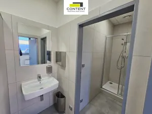 Pronájem výrobních prostor, Řepov, 816 m2