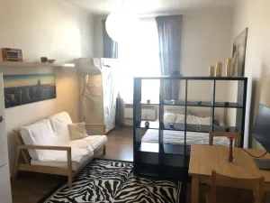 Pronájem bytu 1+kk, Praha - Žižkov, Hartigova, 22 m2