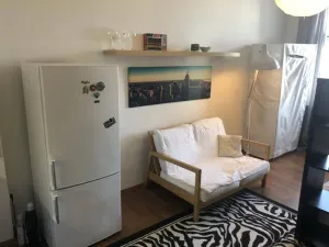 Pronájem bytu 1+kk, Praha - Žižkov, Hartigova, 22 m2