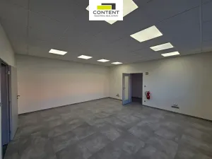 Pronájem skladu, Řepov, 1690 m2