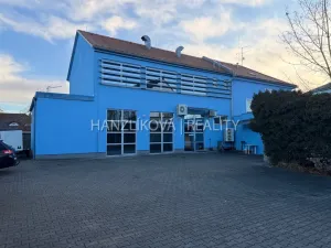 Pronájem kanceláře, České Budějovice - České Budějovice 2, Branišovská, 37 m2