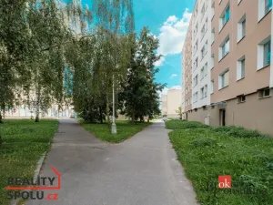 Prodej bytu 1+1, Praha - Chodov, Ledvinova, 31 m2