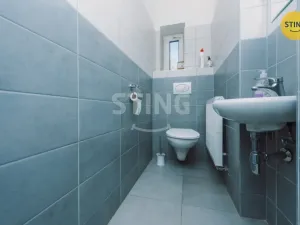 Prodej komerční nemovitosti, Svratka, Táborská, 880 m2