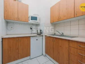 Prodej komerční nemovitosti, Svratka, Táborská, 880 m2