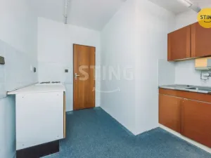 Prodej komerční nemovitosti, Svratka, Táborská, 880 m2