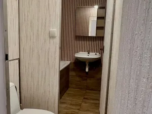 Pronájem bytu 2+1, Jihlava - Antonínův Důl, 56 m2