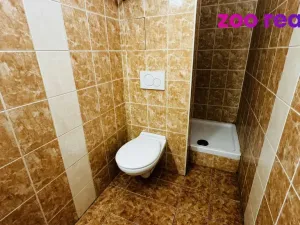 Pronájem bytu 2+1, České Budějovice, Rudolfovská tř., 45 m2