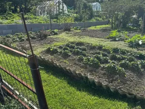 Prodej chaty, Příbram - Příbram VI-Březové Hory, 15 m2