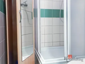 Prodej bytu 4+1, Brno - Zábrdovice, Cejl, 53 m2