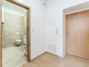 Pronájem bytu 1+kk, Hradec Králové, náměstí Svobody, 30 m2