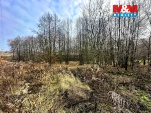 Prodej pozemku pro bydlení, Petřvald, Ostravská, 4322 m2