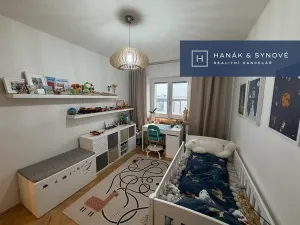 Pronájem bytu 2+1, Brno, Náplavka, 58 m2